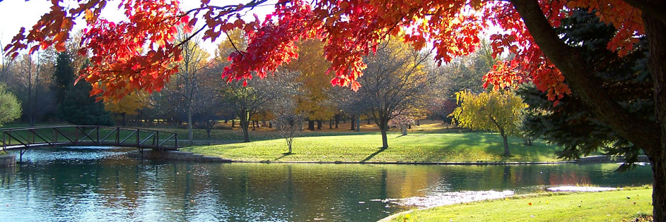 B8B01482-923E-4EC1-810A-12BCBBF6BA09